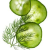 Cucumber Dill